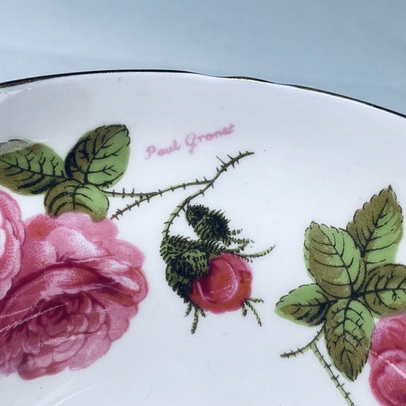 Vtg Foley Tea Cup Century Rose 1950 Paul Granet Pink Gold Trim Replacement - Picture 11 of 15